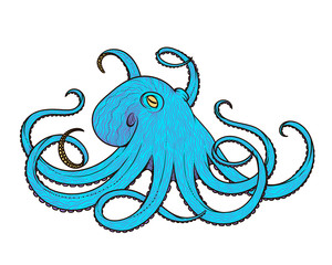 Wall Mural - Vector illustration of octopus line art style. Design for t-shirt, posters.