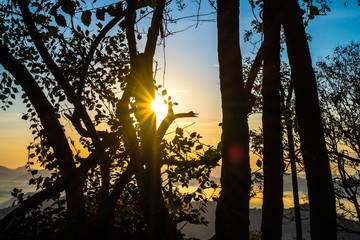 Canvas Print - Beautiful Sunrise over Diamond with tree silhouette at Phu Bo Bit, Loei, Thailand