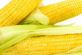 Fototapeta Desenie - Fresh yellow corn isolated on white