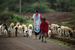 Kenyan family Masai herding goats