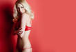 sexy blonde girl in red lace lingerie posing in the studio on a red background. Advertising Space