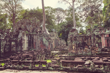 Wall Mural - Angkor