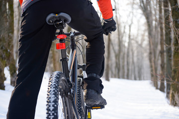 Wall Mural - Mountain Biker Riding Bike on the Snowy Trail in Beautiful Winter Forest. Free Space for Text.