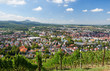 Blick auf Metzingen (Schwäbische Alb)