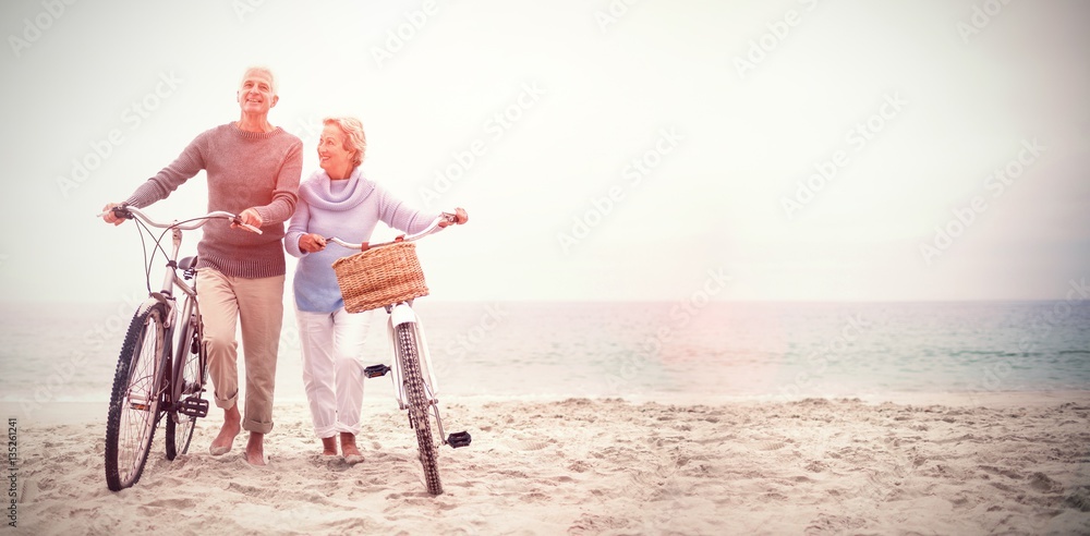 Senior couple with their bicycles - obrazy, fototapety, plakaty 
