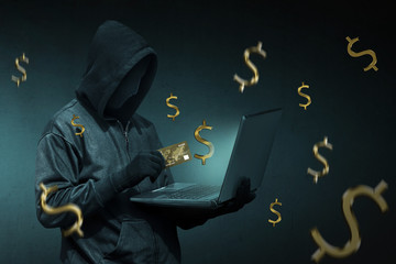 Wall Mural - Hooded hacker with credit card stealing data from a laptop