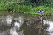 © Виталий Волосевич - Fisherman catches tenkara on a beautiful forest creek.