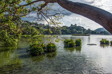 Ancient Capital of Sri Lanka, Kandy and it's popular and famous Lake, the Kandy Lake, surrounded by the world famous Dalada Maligawa the sacred place of worship for the Buddhists of Sri Lanka