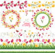 Summer elements. Phrase Summer is coming. Tulips and daffodils. Template for your design, festive greeting cards,  announcements, posters.