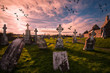 Historic cemetery in Clonmacnoise ,Ireland