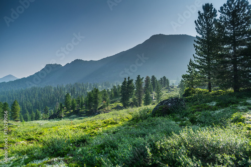 500_F_135299056_sZ8zlczPwQXSyoxhEgspo3s2vWbfO5w7.jpg