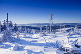 Fototapeta Na ścianę - Krajobraz Zimowy