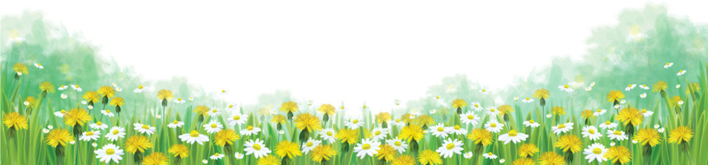 Wall Mural - vector summer nature background, chamomiles and dandelions fiel