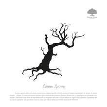 Silhouette Of The Old Broken Tree On A White Background. Black D