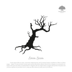 Wall Mural - Silhouette of the old broken tree on a white background. Black d