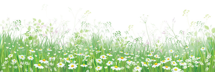 Wall Mural - vector blossoming flowers field, nature border isolated.