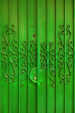 Fototapeta Sypialnia - Green Door