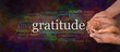 Gratitude Attitude Website Campaign Banner -  Male hands  cradling female cupped hands on a wide warm dark multicolored background with a GRATITUDE word cloud 