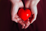 Fototapeta  - People, relationship and love concept - close up of womans cupped hands showing red heart