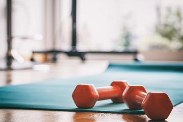 Pair of dumbbells on a wooden floor