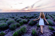 A girl in white dress in the lavender field. Wide view photo from behind