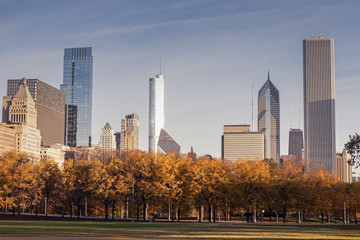 Fototapete - Autumn in Chicago