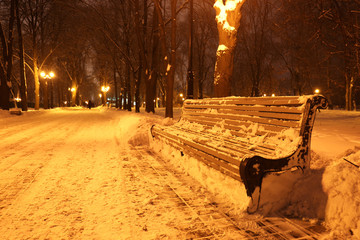 Sticker - Beautiful winter landscape with snowy alley in evening