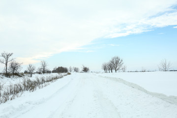 Canvas Print - Country side empty road covered with snow