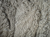 Fototapeta Desenie - Texture of ready mixed concrete cement mortar.
