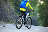 Fototapeta Do pokoju - one young woman cyclist riding mountain bike on forest trail