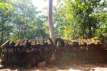 Wall Mural - Angkor