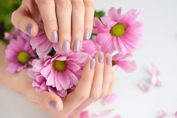 Wall Mural - Hands of a woman with pink manicure on nails and pink flowers on a white background