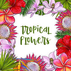 Wall Mural - Square frame of tropical flowers and palm leaves with place for text, sketch vector illustration. Hand drawn realistic exotic, tropical flowers and palm leaves as square frame, banner, label design