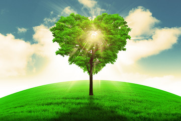 Wall Mural - heart shape tree - love and nature concept.