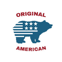 Bear logo with USA flag vector illustration