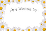 Fototapeta Lawenda - St.Valentines postcard withLeucanthemum vulgare