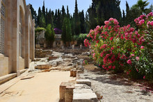 Ancient Excavations, Church Of All Nations, Mount Of Olives, Garden Of Gethsemane In Jerusalem