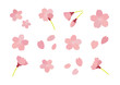 桜のイラスト　セット