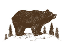 Brown Bear Symbol Vector Illustration