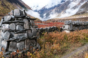 Nepal - Langtangtal