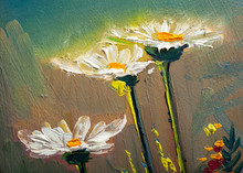 Oil Painting Daisy Flowers