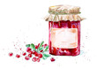Sweet cranberry jam and berry. Watercolor hand drawn illustration.