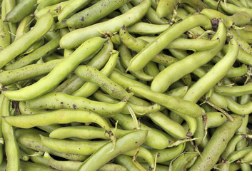 Wall Mural - Broad beans