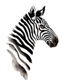 Fototapeta Zebra - Watercolor zebra