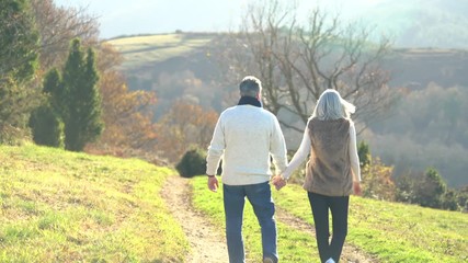 Wall Mural - Senior couple walking in countryside on winter day