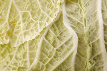 Chinese cabbage