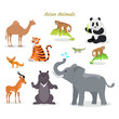 Asian Animals Fauna Species. Camel, Panda, Tiger,