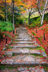 Fototapete - Stairway in autumn, Jojakkoji temple, Arashiyama, Kyoto, Japan