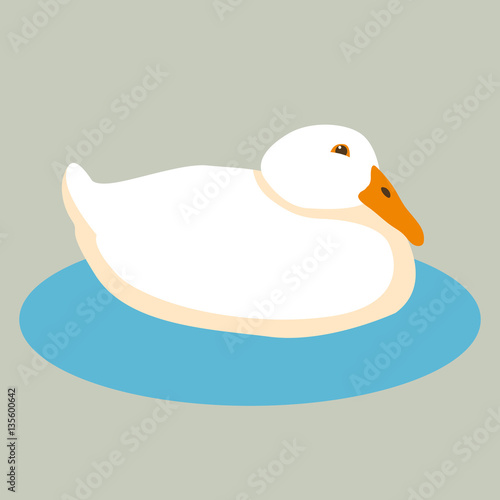 duck head vector illustration style Flat Stock Vector | Adobe Stock