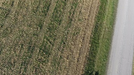 Wall Mural - Aerial footage of farmer in a field at harvest